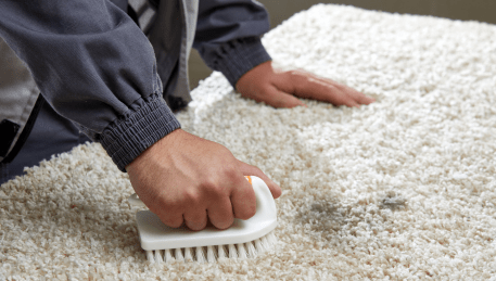 Professional Rug Cleaning Lalor Plaza